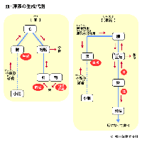 気・血・津液