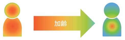 加齢により体の冷えが生じる